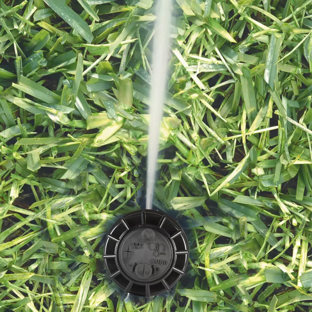 RAIN MiniPro-2